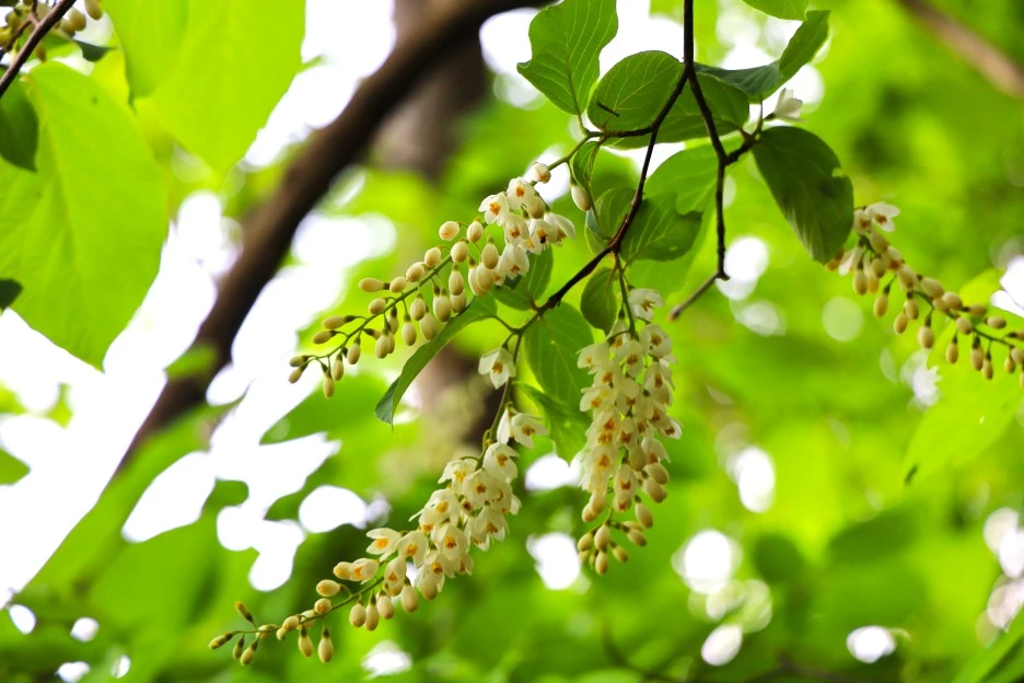 5%EC%9B%9410%EC%9D%BC_(19).JPG?type=w1