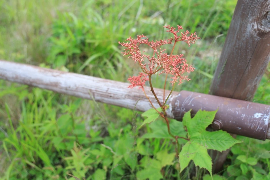 6%EC%9B%9428%EC%9D%BC_(339).JPG?type=w1