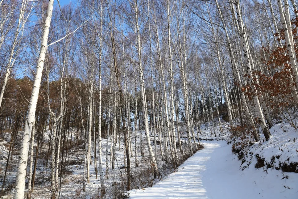 12%EC%9B%9426%EC%9D%BC_(85).JPG?type=w966