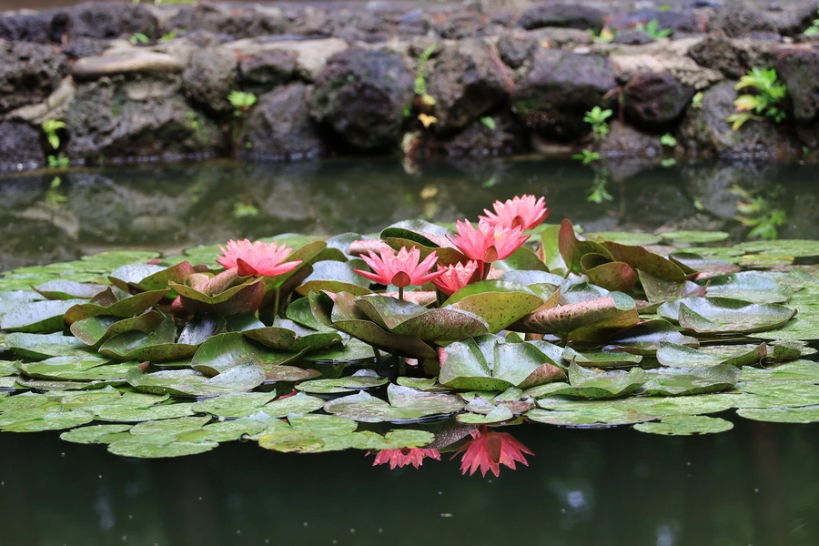 SE-9c7fcc6e-0b99-4da2-ae93-d2f93b7ffd28.jpg?type=w1