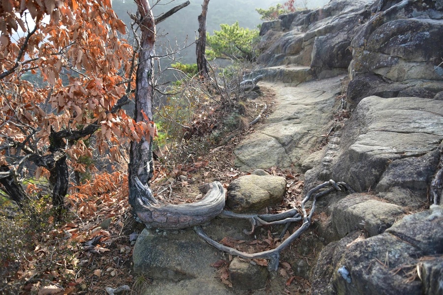 SE-c6cbd599-f20b-4a9d-aef6-d939b25215af.jpg?type=w1