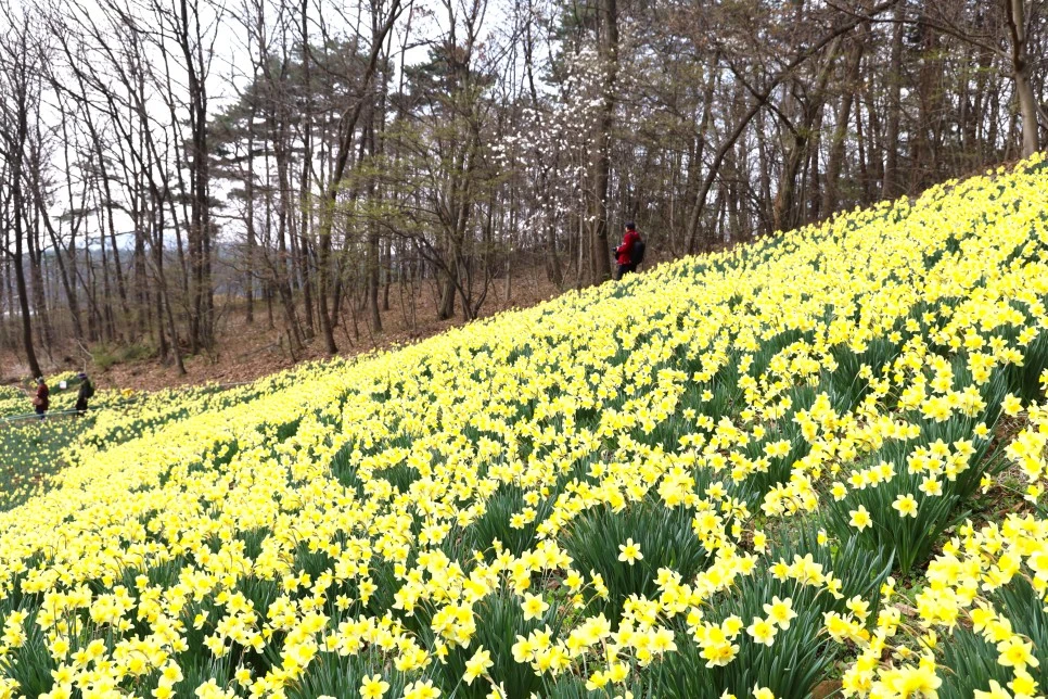 4%EC%9B%945%EC%9D%BC_(71).JPG?type=w966