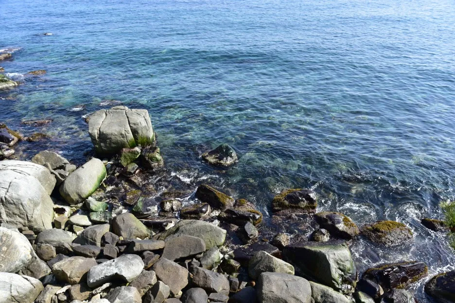 3%EC%9B%9411%EC%9D%BC_(4).JPG?type=w1