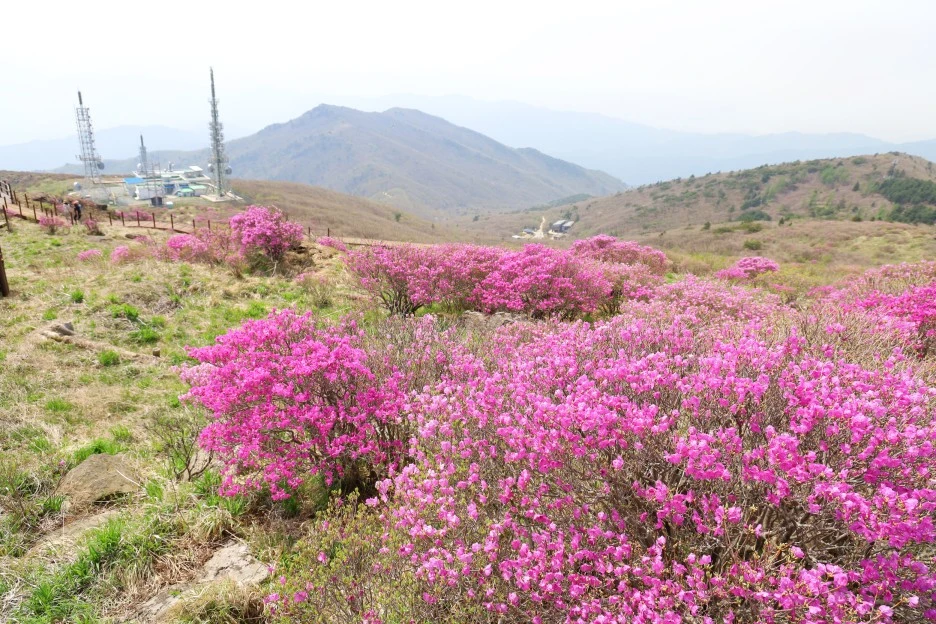 4%EC%9B%9428%EC%9D%BC_(117).JPG?type=w1