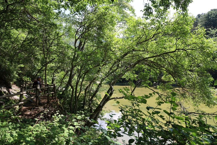 SE-b4df6f3c-a0e7-45f2-9e7f-81b05b6210d4.jpg?type=w1