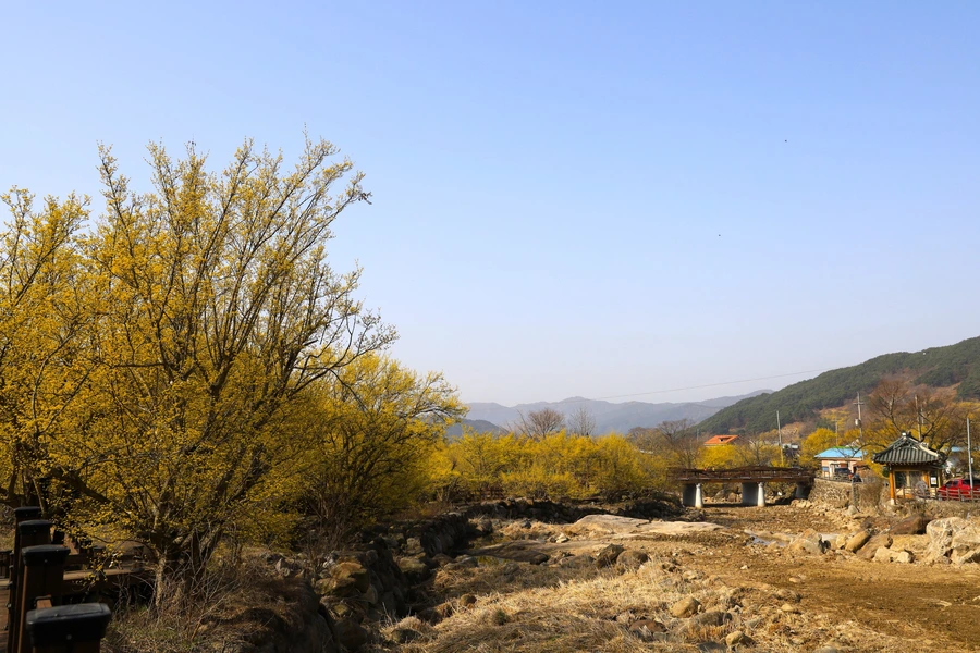 SE-690295d0-3fb0-4874-a378-b6b2d21a6377.jpg?type=w1