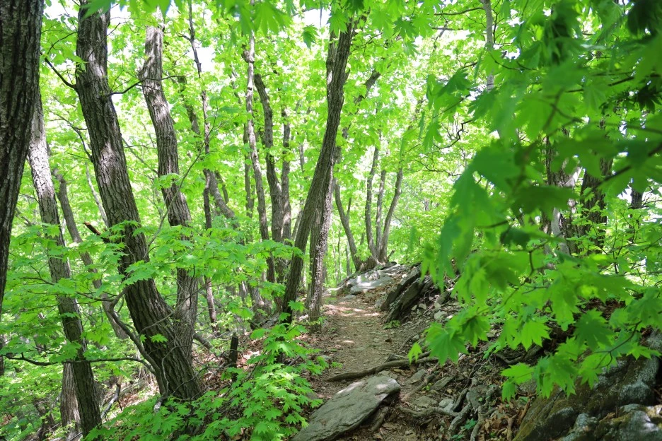 5%EC%9B%9410%EC%9D%BC_(127).JPG?type=w1