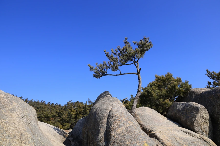 SE-1cda9b95-2c52-482b-a5b9-b1361284c2b2.jpg?type=w1