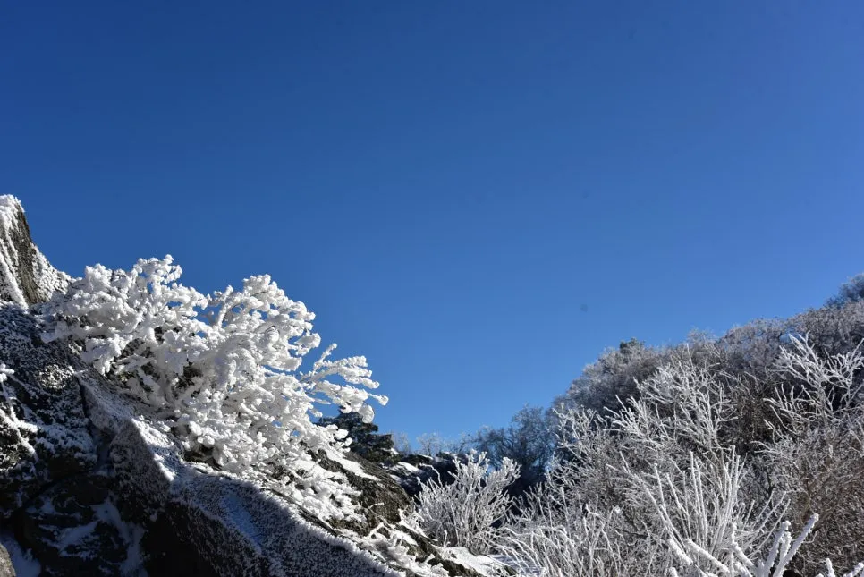 11%EC%9B%9426%EC%9D%BC_(131).JPG?type=w966