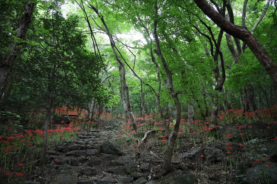 SE-5f6d96c5-d2fb-4e4e-8e10-d77fa3cd6957.jpg?type=w1