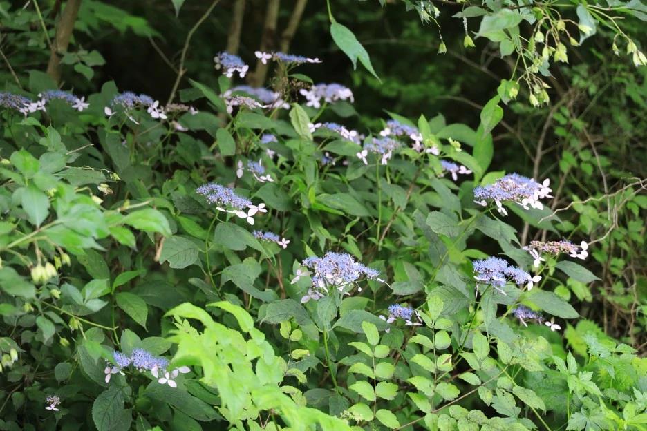 6%EC%9B%9428%EC%9D%BC_(12).JPG?type=w1