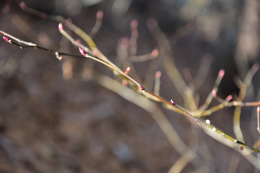 SE-1dc19e6f-d8fe-4e1e-84d3-271c678fd88c.jpg?type=w1