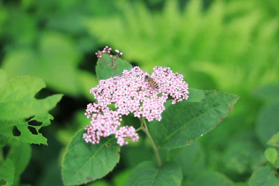 6%EC%9B%9428%EC%9D%BC_(149).JPG?type=w1