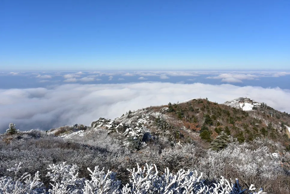 11%EC%9B%9426%EC%9D%BC_(146).JPG?type=w966