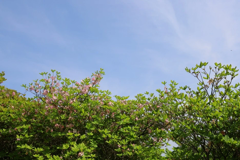 5%EC%9B%9410%EC%9D%BC_(55).JPG?type=w1