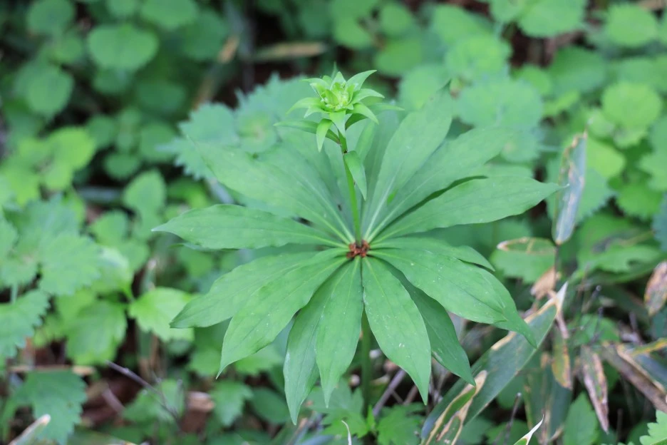 6%EC%9B%9414%EC%9D%BC_(327).JPG?type=w1