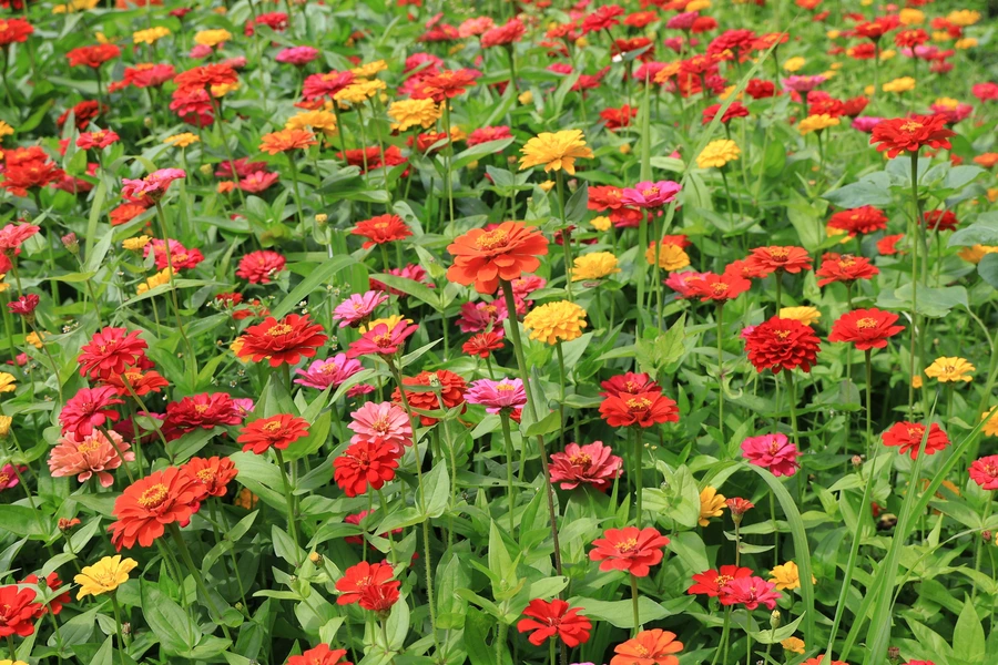 SE-bc8cb547-2ec1-49f0-8301-173dbc1b63de.jpg?type=w1