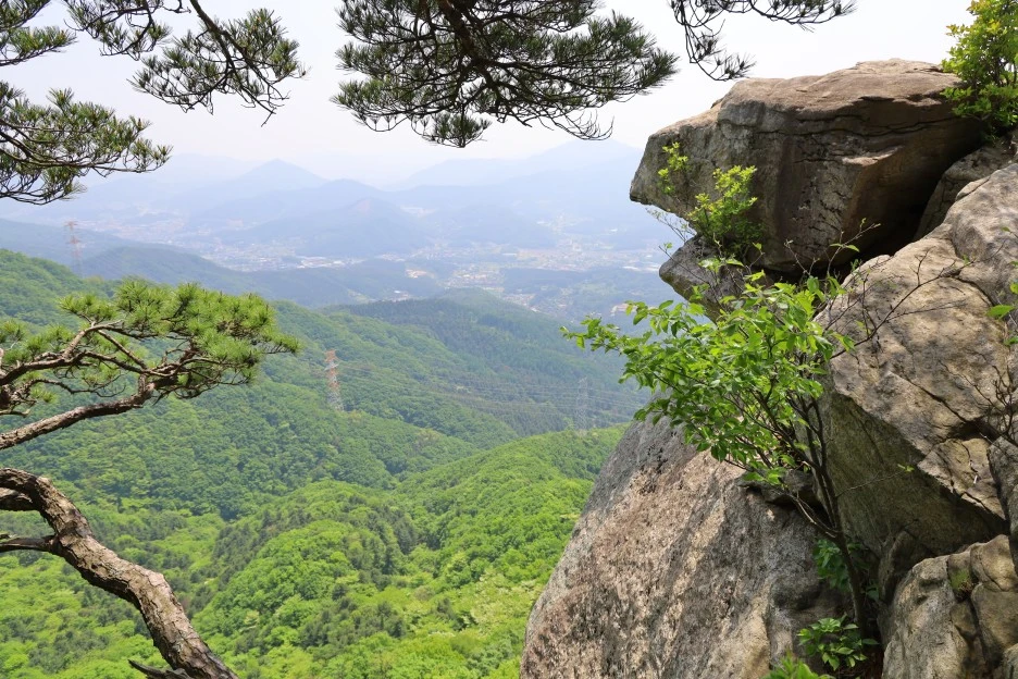 5%EC%9B%9410%EC%9D%BC_(163).JPG?type=w1