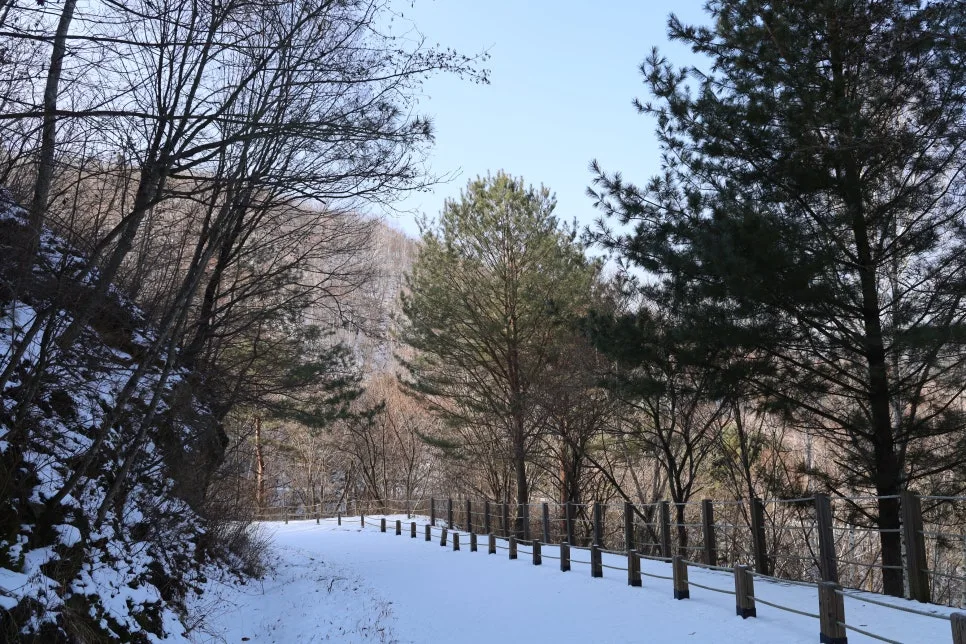 12%EC%9B%9426%EC%9D%BC_(110).JPG?type=w966