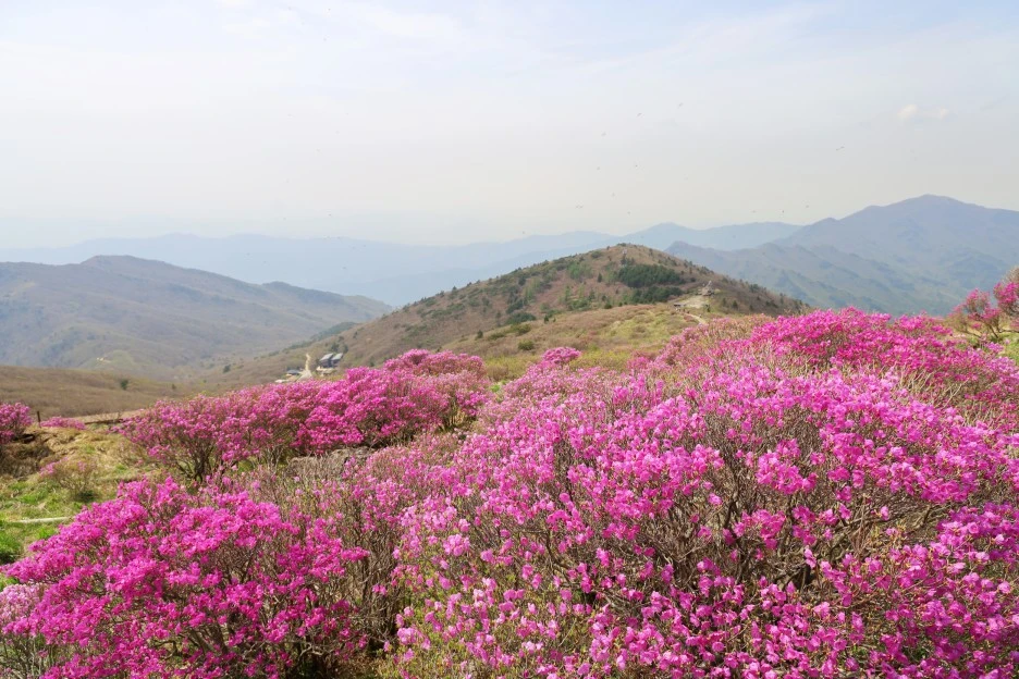 4%EC%9B%9428%EC%9D%BC_(119).JPG?type=w1