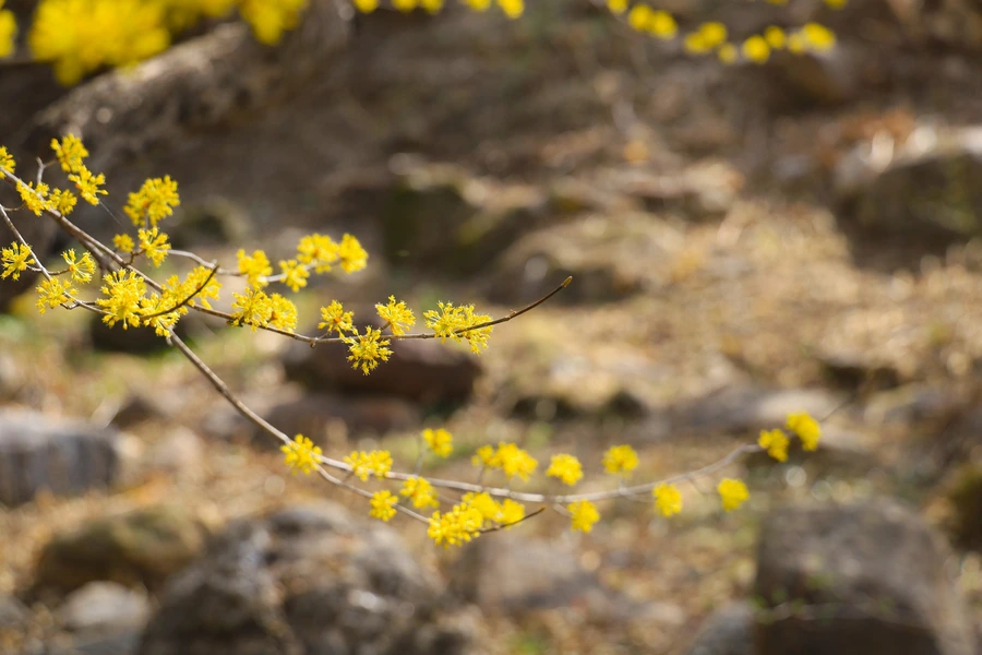 SE-c3561d30-941d-4525-b513-b729270c31ca.jpg?type=w1