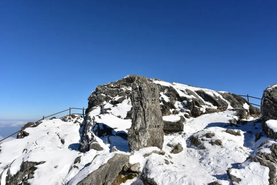 11%EC%9B%9426%EC%9D%BC_(138).JPG?type=w966