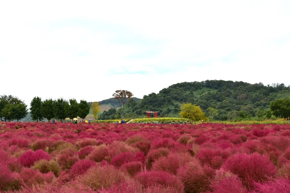 10%EC%9B%9414%EC%9D%BC_(92).JPG?type=w966