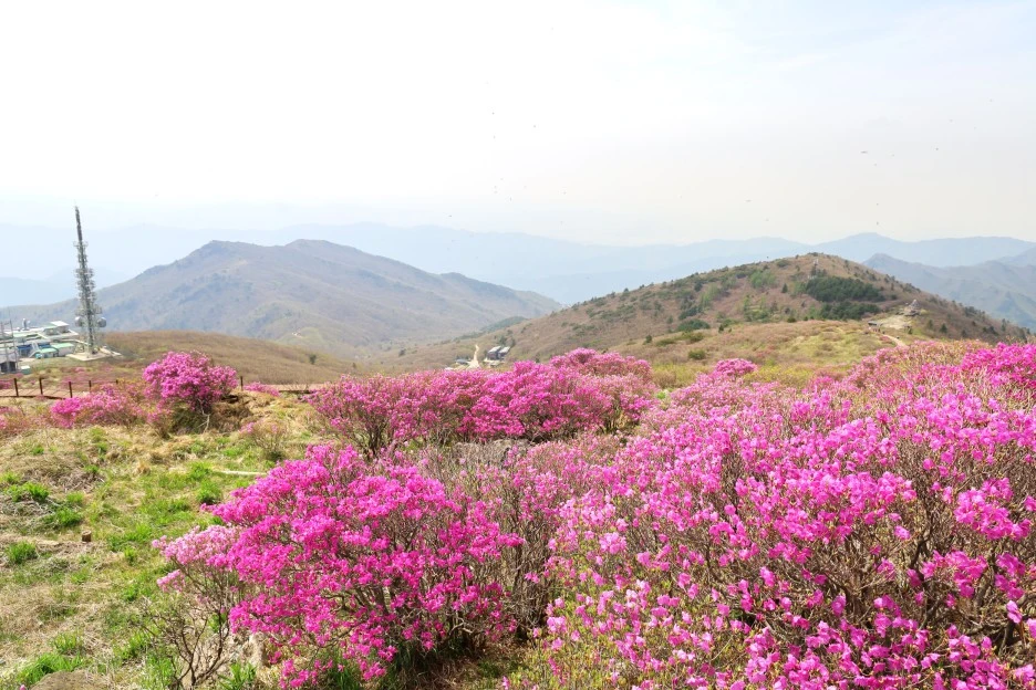 4%EC%9B%9428%EC%9D%BC_(120).JPG?type=w1