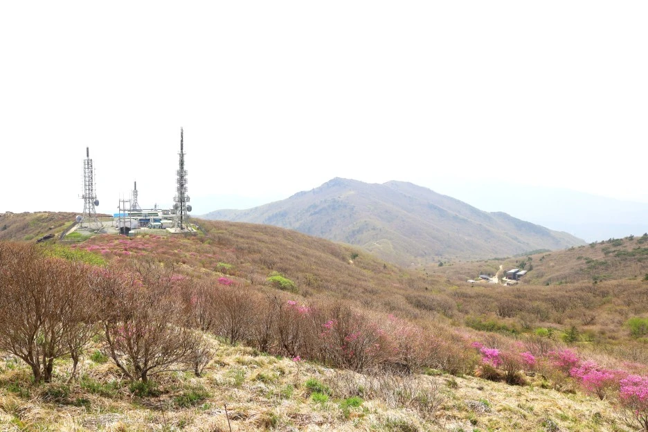 4%EC%9B%9428%EC%9D%BC_(72).JPG?type=w1