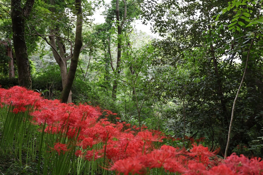 SE-3c0560ea-010f-41a8-ae78-62993475772b.jpg?type=w1