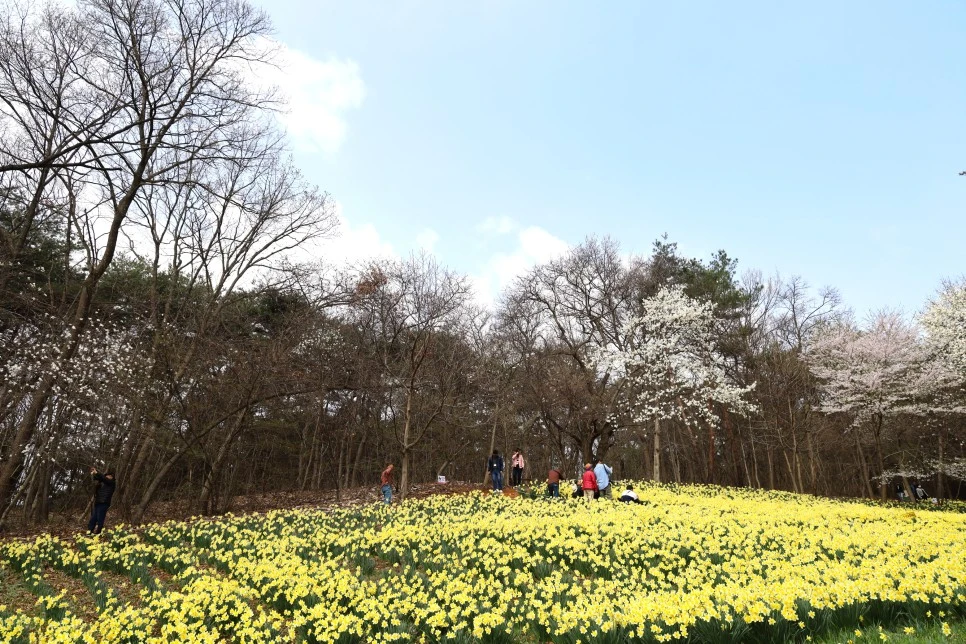 4%EC%9B%945%EC%9D%BC_(79).JPG?type=w966