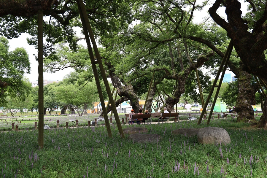 SE-d685fdd6-bf42-4258-b7d5-d95db340d44d.jpg?type=w1