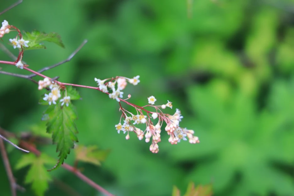 6%EC%9B%9414%EC%9D%BC_(86).JPG?type=w1