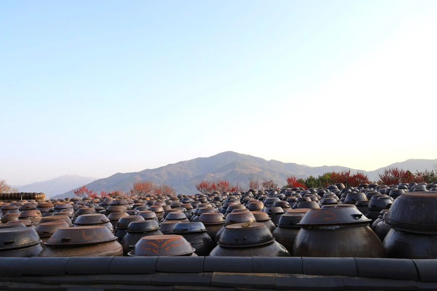 SE-209d4659-6dd2-4c92-b829-d10ab7d83771.jpg?type=w1