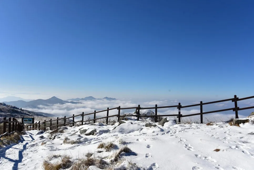 11%EC%9B%9426%EC%9D%BC_(163).JPG?type=w966