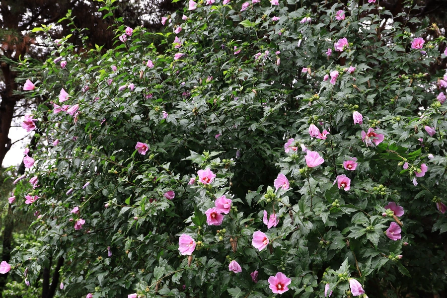 SE-25805eea-4955-4b34-8acd-5569bff34c2b.jpg?type=w1