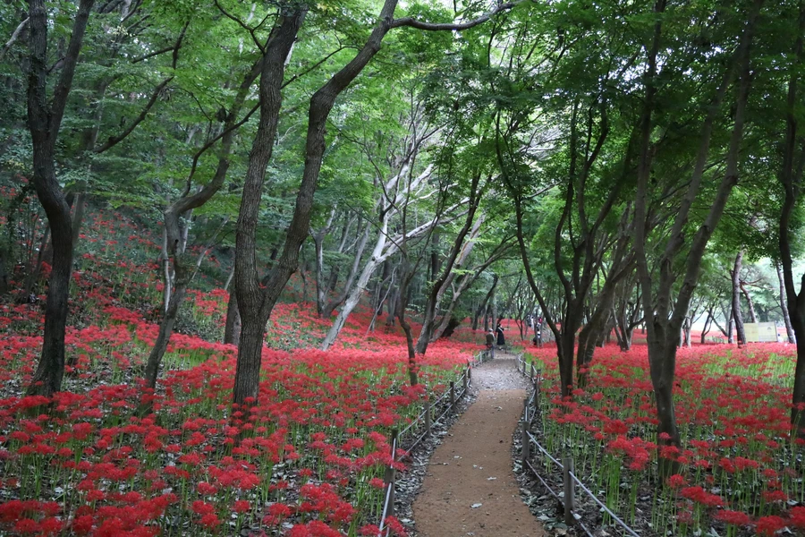 SE-48855786-abe0-45f7-ad11-b00f814a5d51.jpg?type=w1