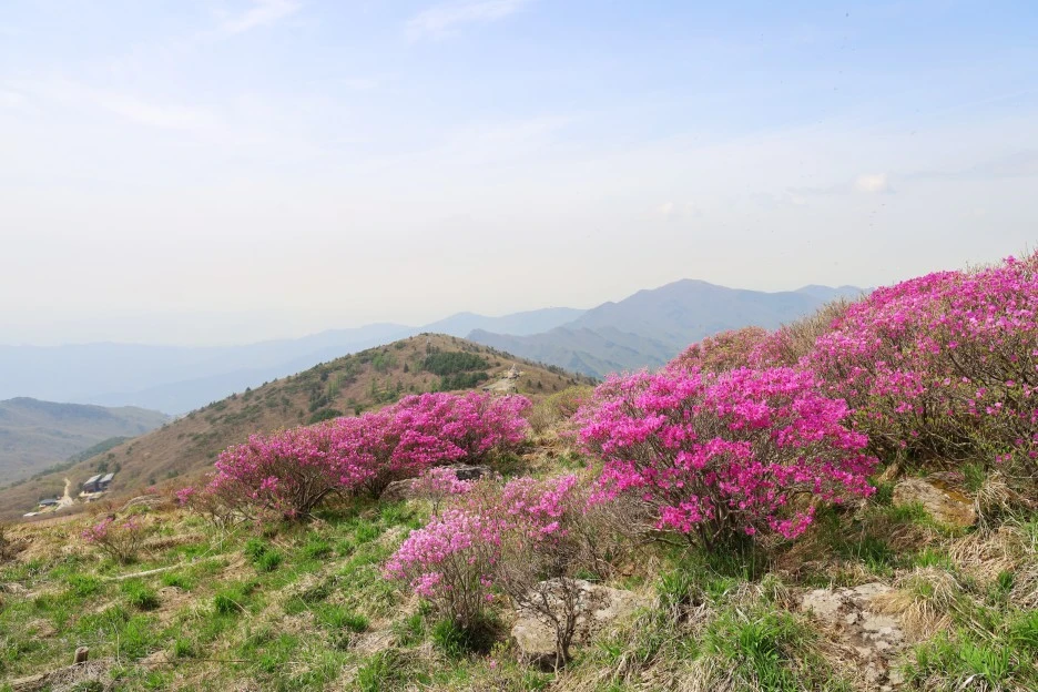 4%EC%9B%9428%EC%9D%BC_(116).JPG?type=w1