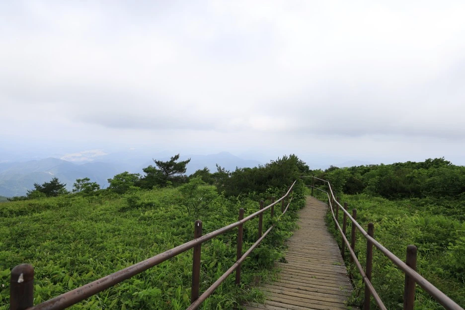 6%EC%9B%9428%EC%9D%BC_(193).JPG?type=w1