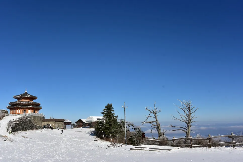 11%EC%9B%9426%EC%9D%BC_(55).JPG?type=w966