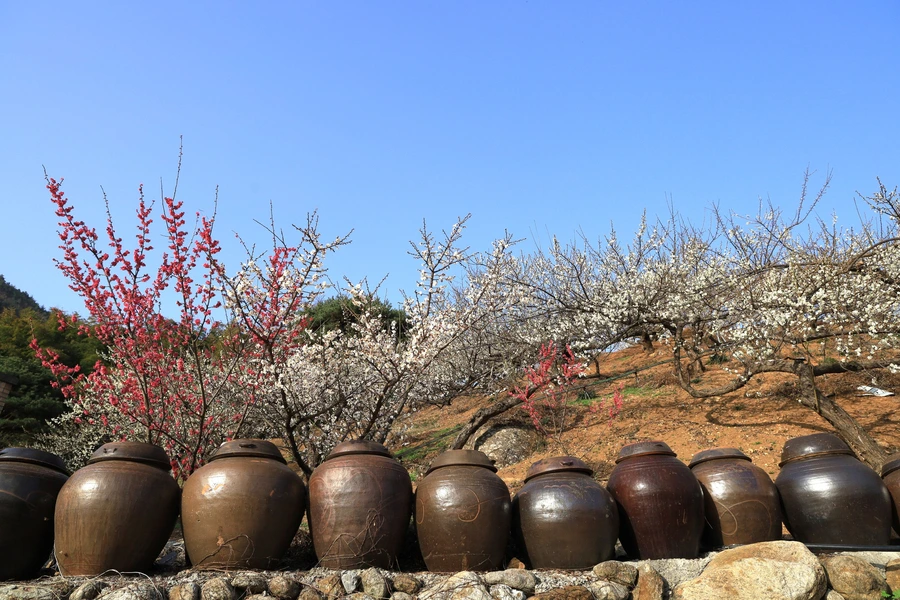 SE-3fbd6035-c366-4775-afa9-fc2072185222.jpg?type=w1