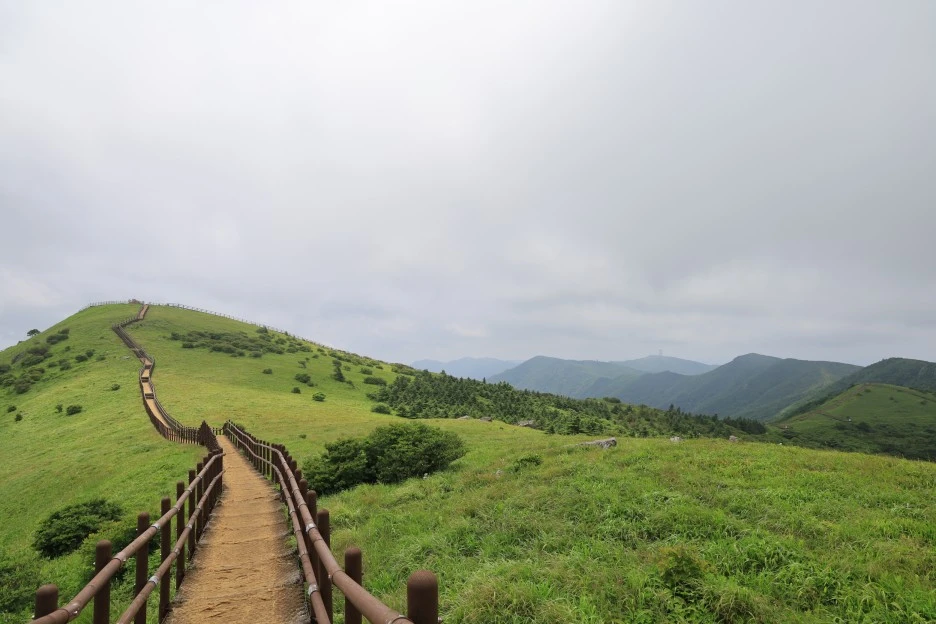 6%EC%9B%9428%EC%9D%BC_(231).JPG?type=w1