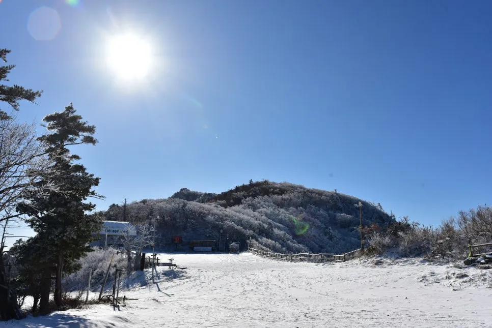 11%EC%9B%9426%EC%9D%BC_(29).JPG?type=w966