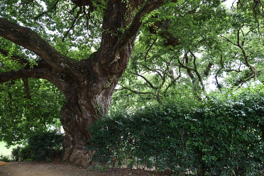 SE-c467217d-5aaf-48e5-82d5-2cc73b245884.jpg?type=w1