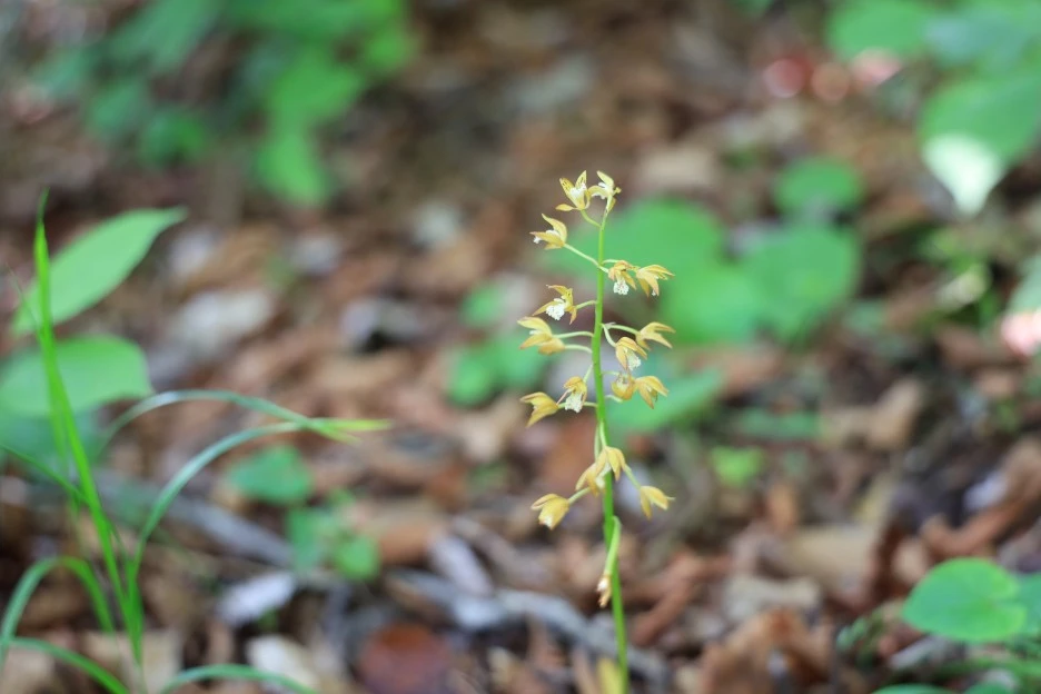 6%EC%9B%9414%EC%9D%BC_(43).JPG?type=w1