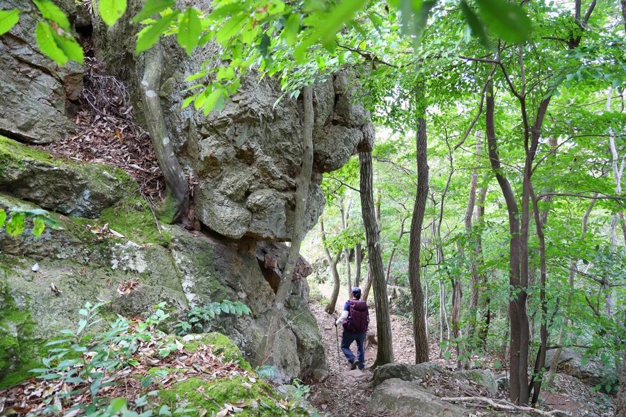 SE-3f5ec354-91e7-492c-b9a5-3546c1440218.jpg?type=w1