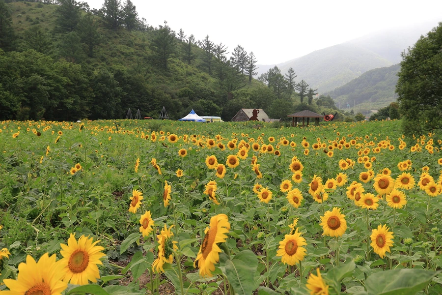 SE-87446038-c7aa-496c-bf43-6bad4d4f60af.jpg?type=w1