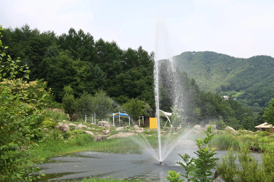 SE-2db8dd68-cba6-45e5-b241-cf6e508fc586.jpg?type=w1