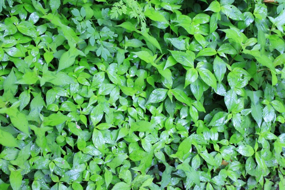 6%EC%9B%9428%EC%9D%BC_(35).JPG?type=w1