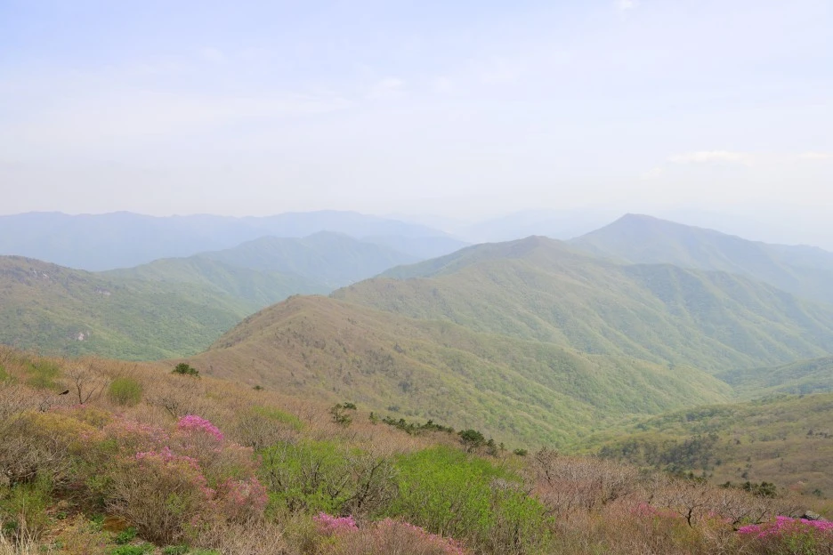 4%EC%9B%9428%EC%9D%BC_(125).JPG?type=w1